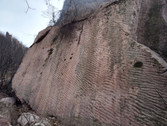 图十一       波痕沉积地质遗迹(竖向)