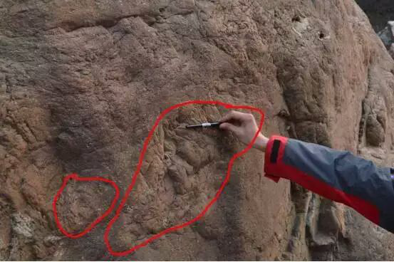 图十八        枕状熔岩地质遗迹