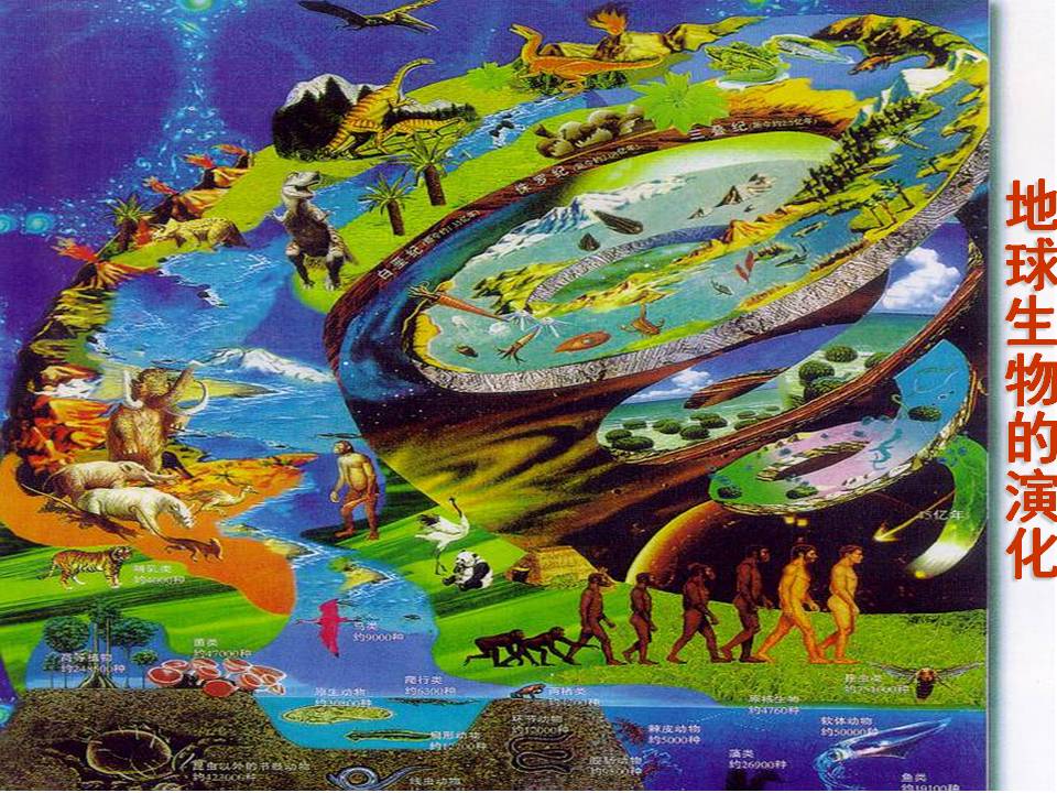 工程地质课件第2章地层构造ppt163页